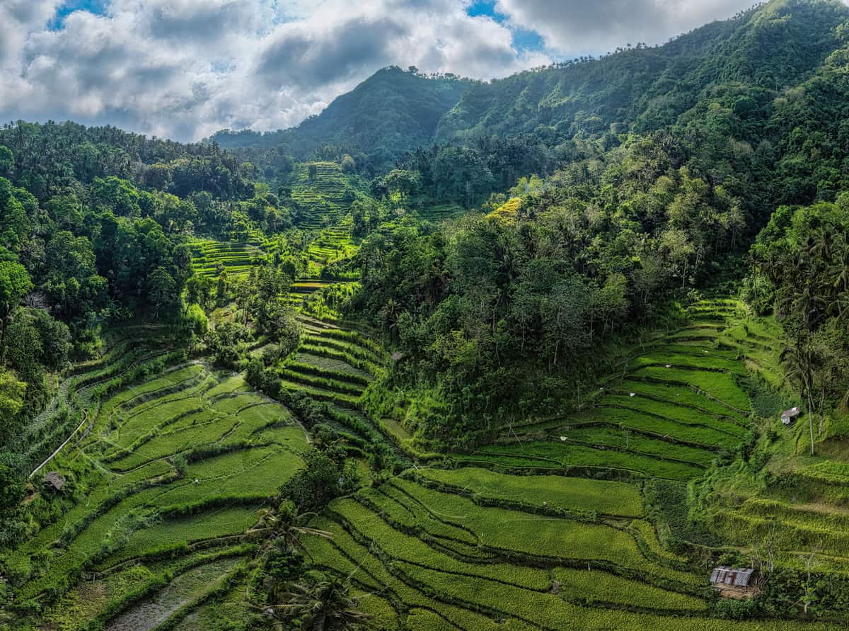 Tegalalang Rice Terraces, Ubud, Bali