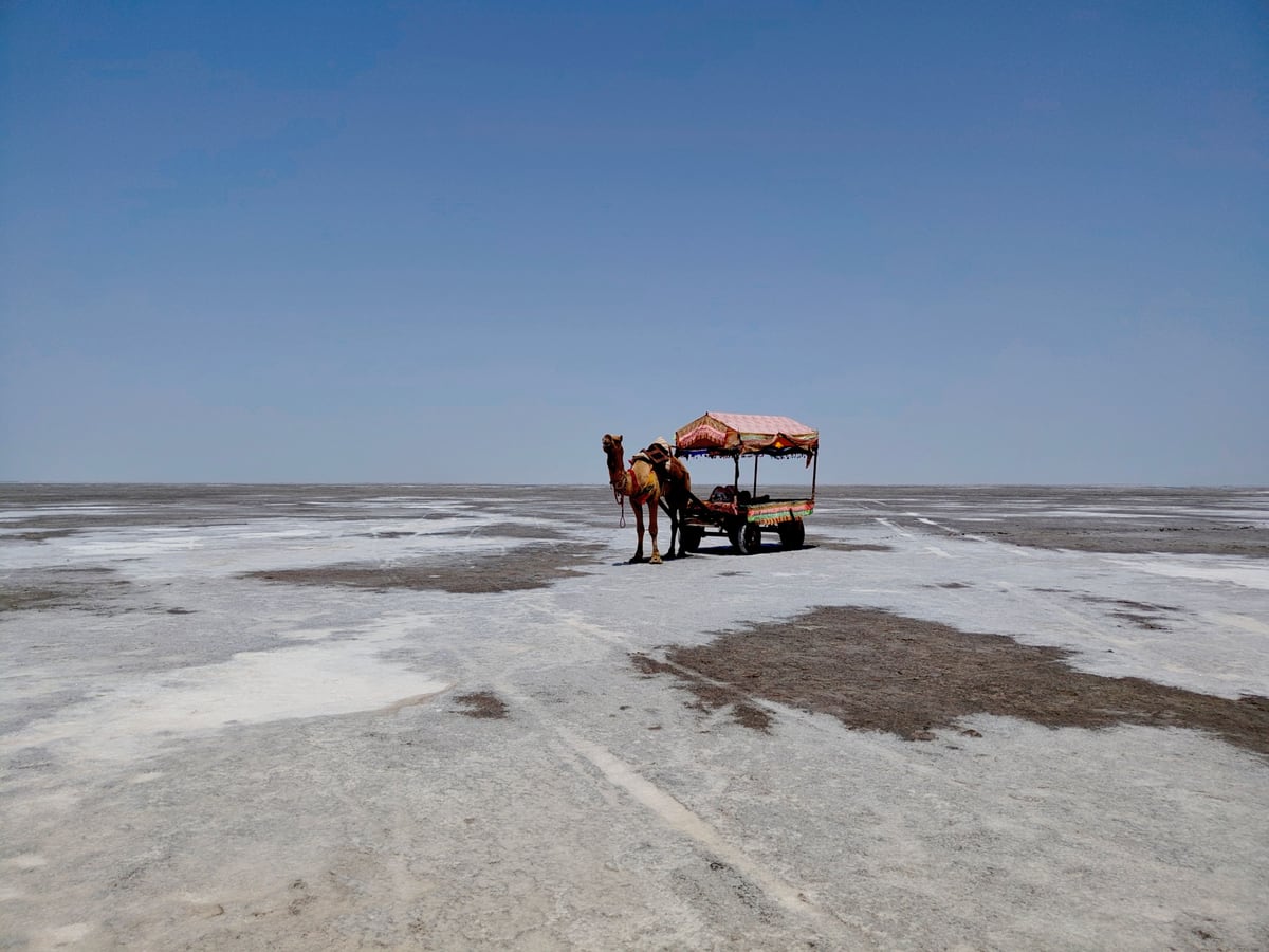 Rann of Kutch, White Desert, Gujarat