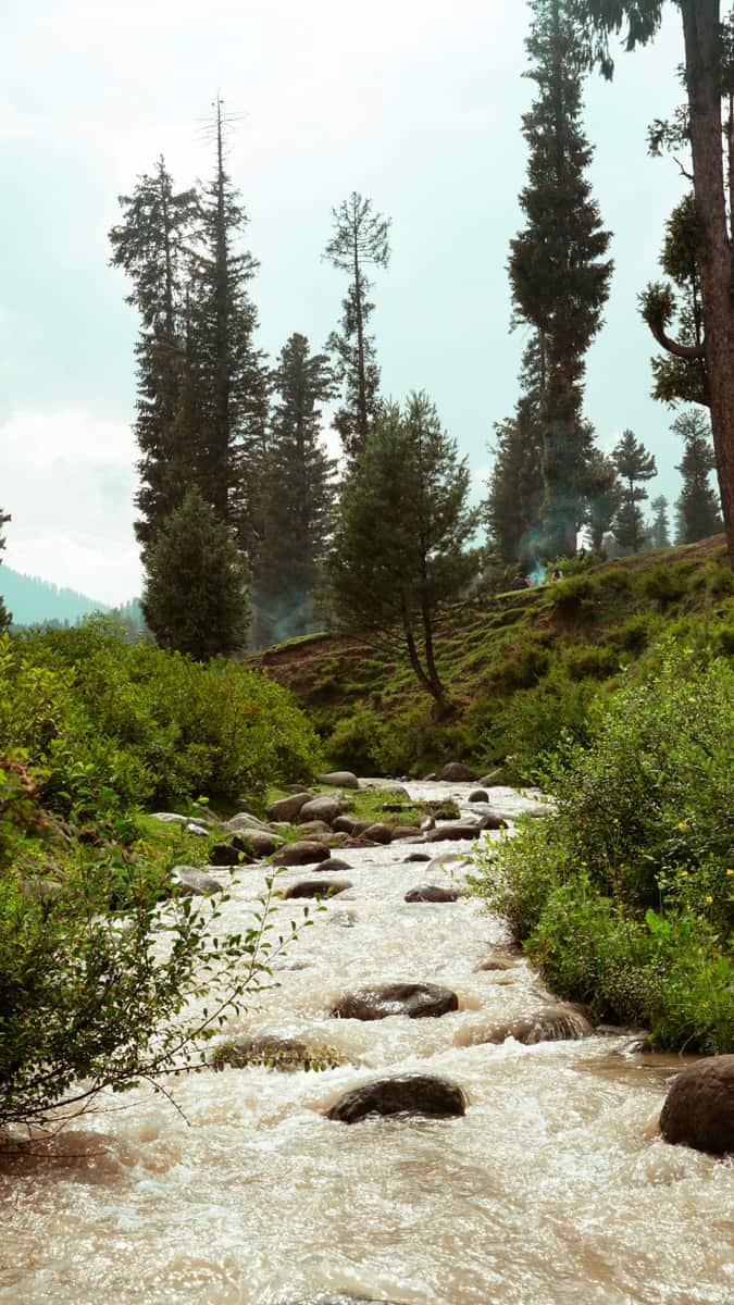 Doodhpathri, Jammu & Kashmir
