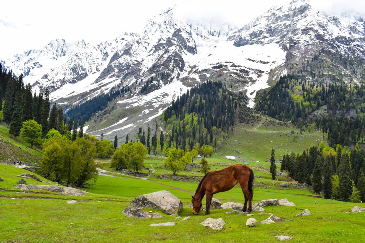 Sonmarg, Jammu & Kashmir