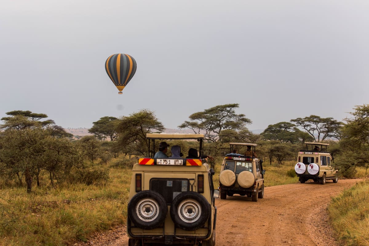Tarangire National Park, Kenya + Tanzania