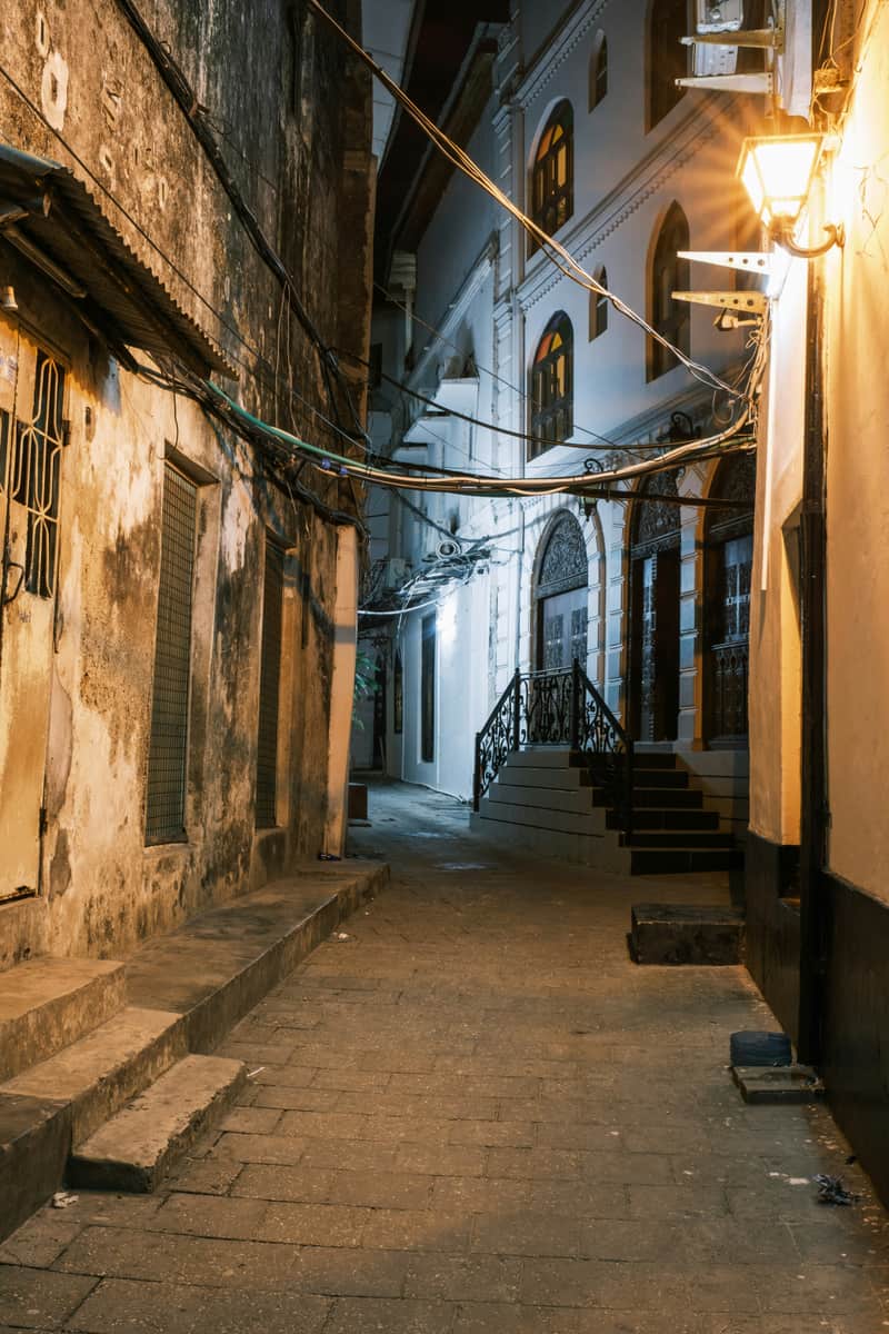 Zanzibar, Stone Town & beaches, Kenya + Tanzania