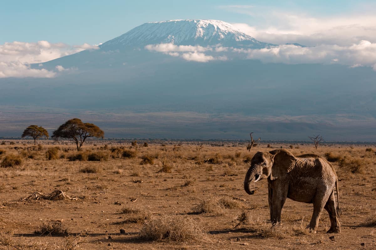 Amboseli National Park, Mt Kilimanjaro views, Kenya