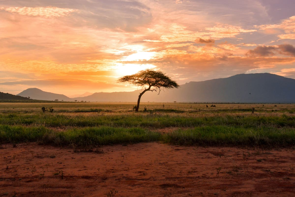 Kenya — Orbitz Holidays