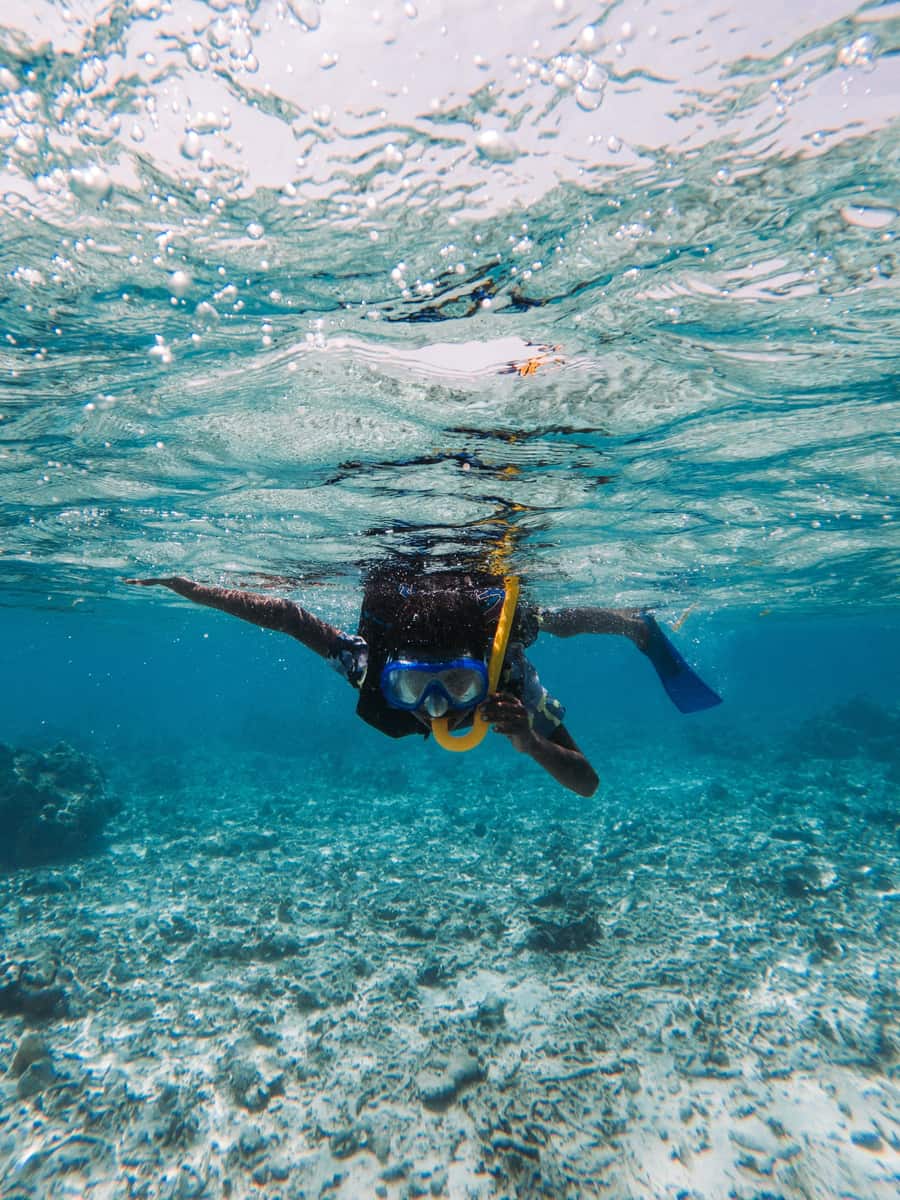 House-reef snorkelling, Lakshadweep