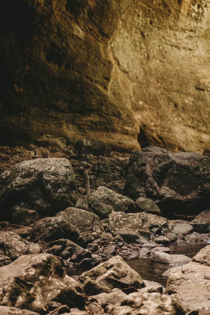 Bhimbetka Caves, Madhya Pradesh