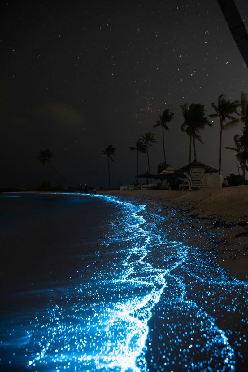 Bioluminescent beaches, Maldives