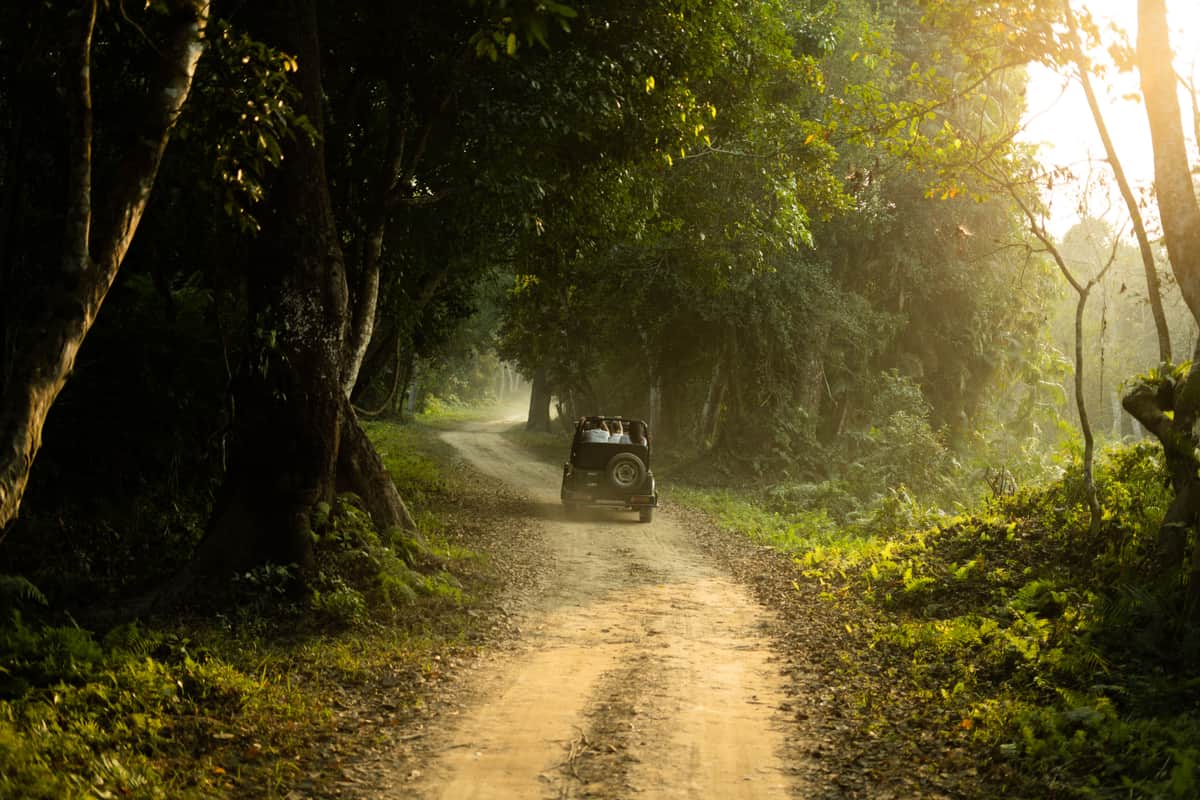 Gorumara National Park, North Bengal
