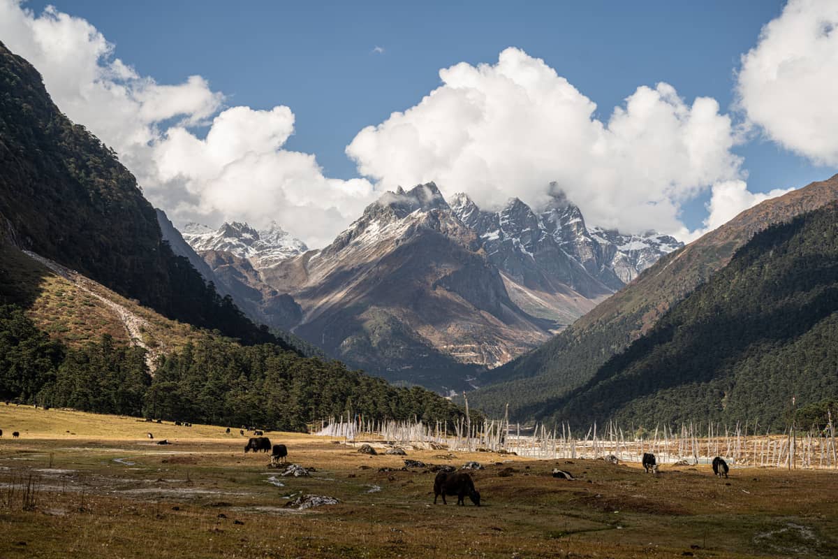 Yumthang Valley, Sikkim